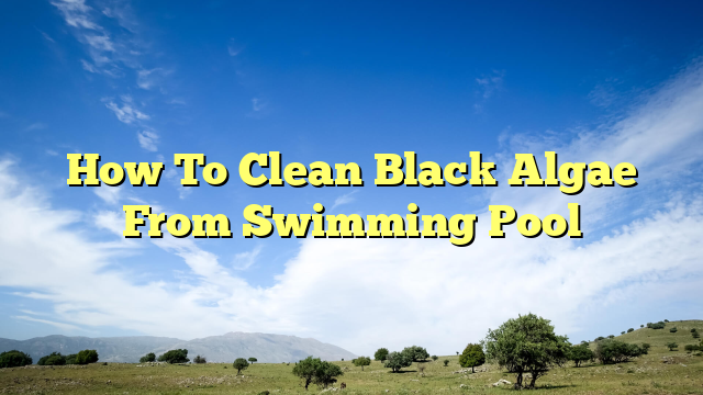 How To Clean Black Algae From Swimming Pool - Our Swimming Pools